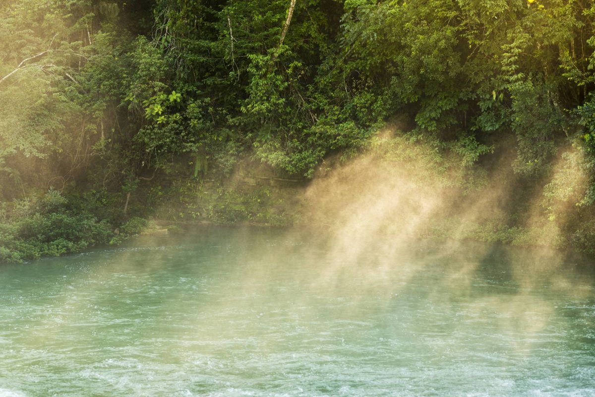 Tranquil forest river of Rio Blanco National Park in Toledo Belize