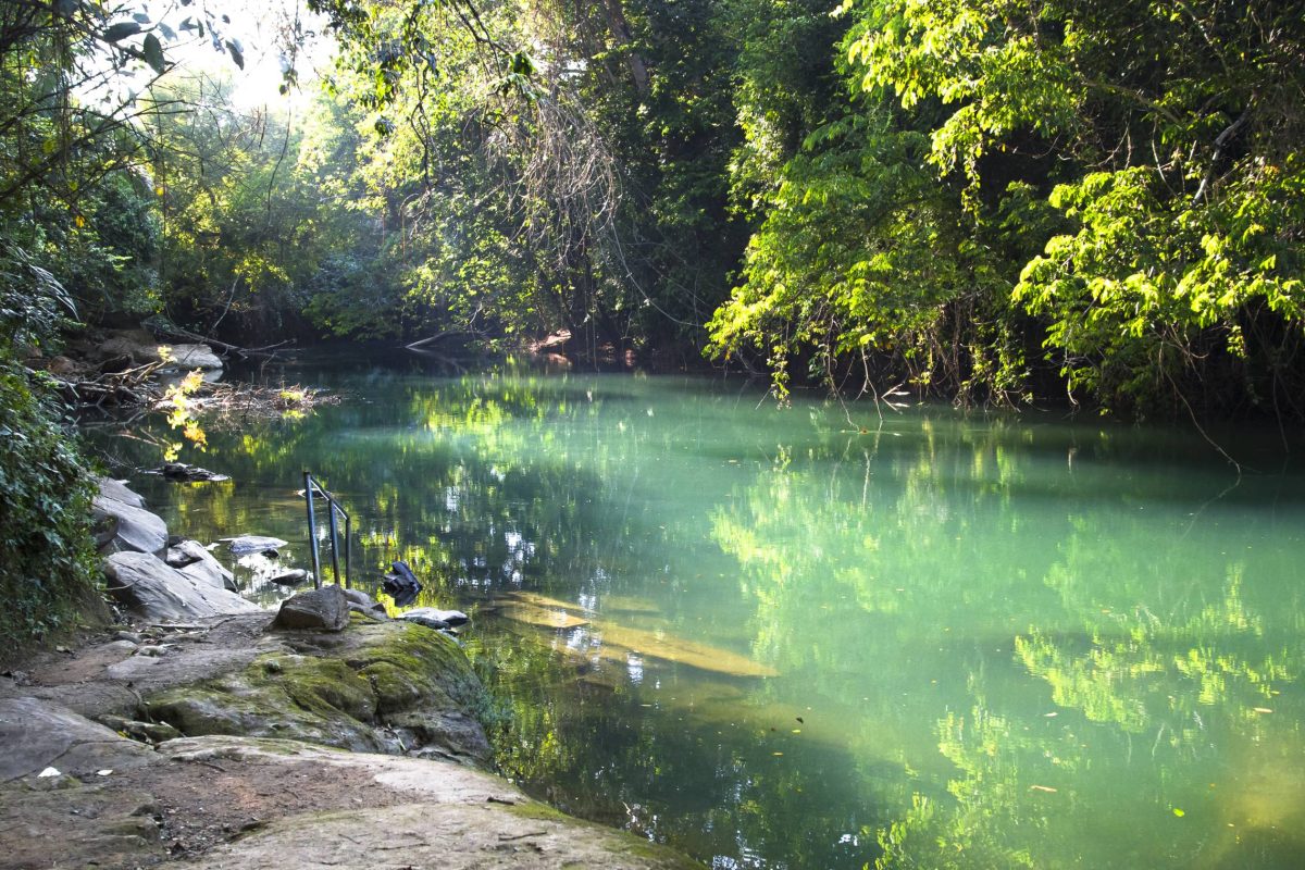 The Rio Grande (not related to the river on the Mexico/US border) flows through beautiful and dense jungle in southern Belize. This idyllic swimming location has a handrail and stepping stones.
