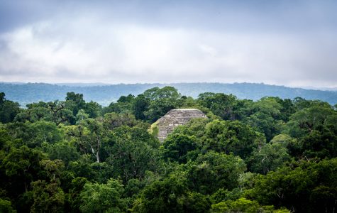Top of mayan pyramid at Tikal National Park -Guatemala