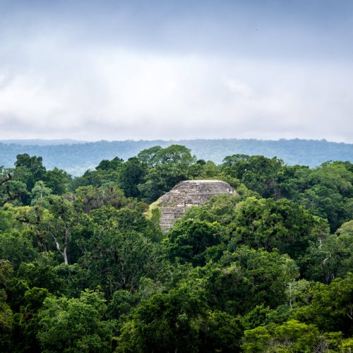Top of mayan pyramid at Tikal National Park -Guatemala